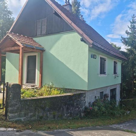 Forest Chalet Zalesina 외부 사진