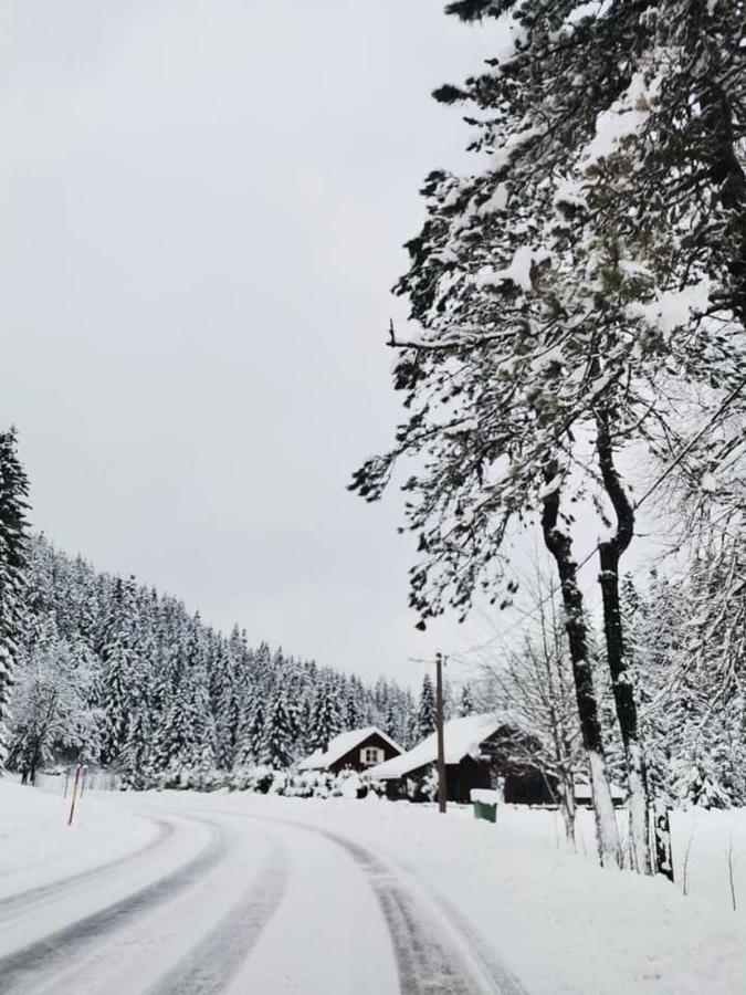 Forest Chalet Zalesina 외부 사진