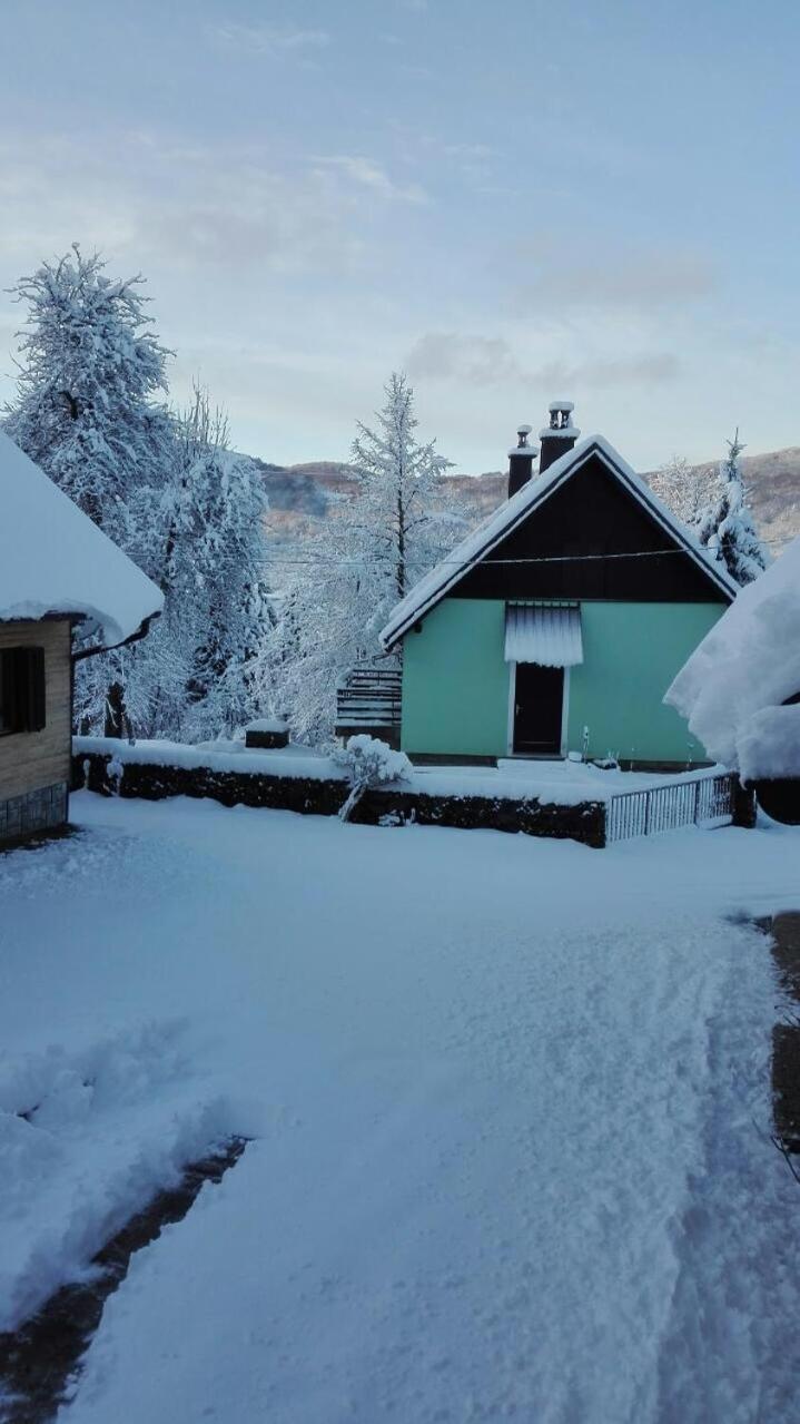 Forest Chalet Zalesina 외부 사진